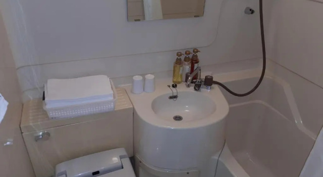 Одноместный номер Standard Hakuba Hotel Paipu no Kemuri