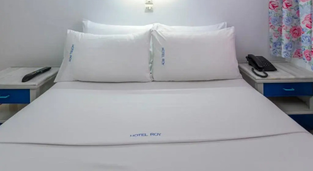 Двухместный номер Economy ROY Hotel