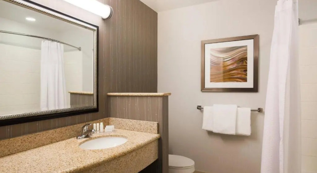 Люкс Residence Inn Chico