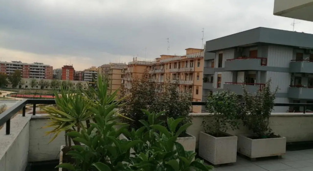 Apartament Brigida 5