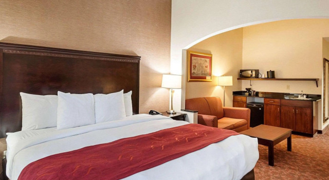 Comfort Suites Dulles Airport