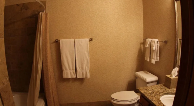 Deluxe Suite The Osthoff Resort
