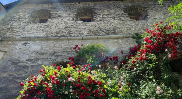 Коттедж Turm am Schlosspark Eisenstadt