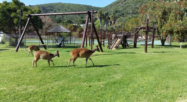 Brenton Park Holiday Cottages, Reservar Hotel Lake Brenton Western Cape