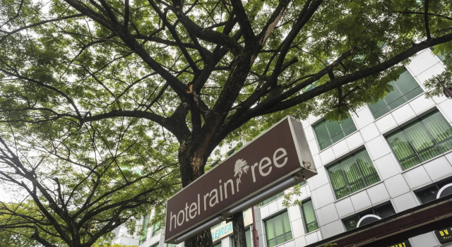 Четырёхместный семейный номер Standard Raintree Hotel