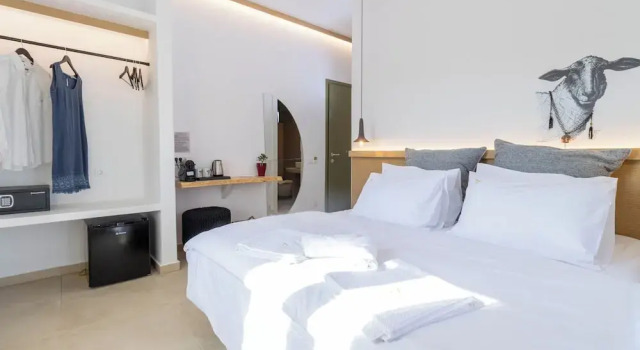 Двухместный номер Deluxe с видом на окрестности ALIRENE MYKONOS