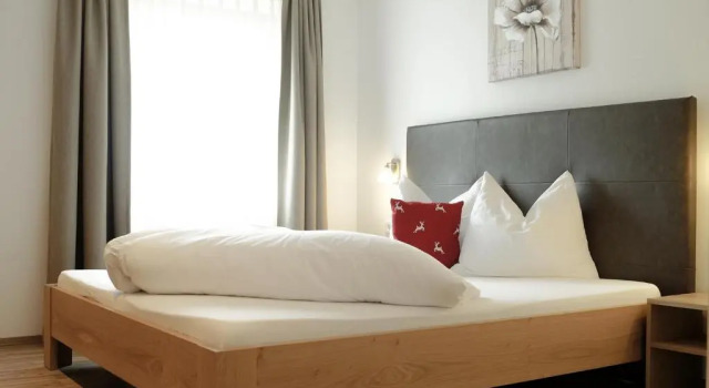 Апартаменты Pension Apartment Erna