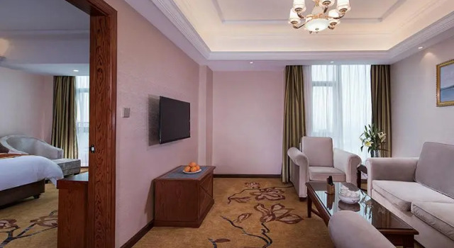 Люкс Vienna Hotel