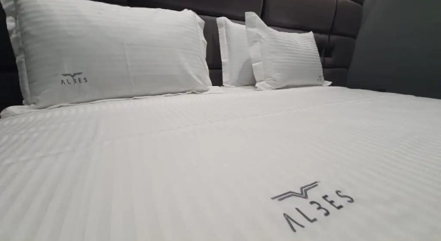 Двухместный номер Superior Albes Hotel