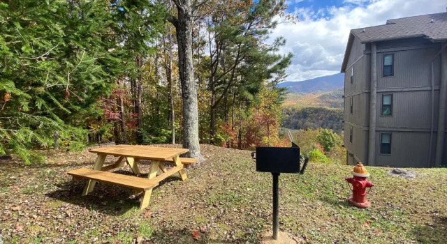 Номер Standard с 2 комнатами Deer Ridge Resort by Jackson Mountain Rentals