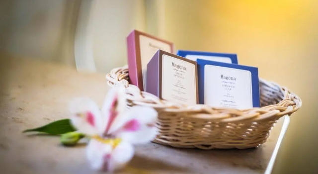 Двухместный номер Standard Zenit Wellness Hotel Balaton