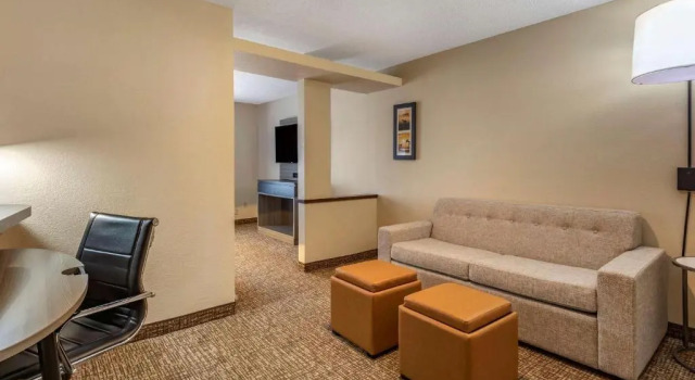 Люкс Comfort Inn & Suites North Dallas-Addison