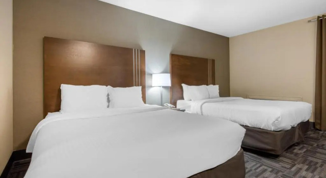 Четырёхместный номер Standard Quality Inn & Conference Centre
