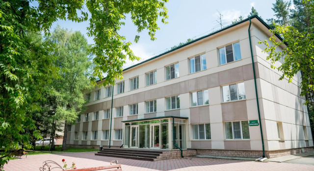 Борвиха