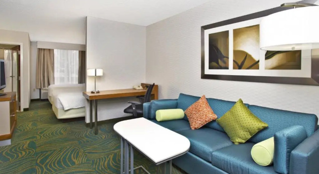 Двухместная студия Springhill Suites by Marriott Chicago Elmhurst Oakbrook Area