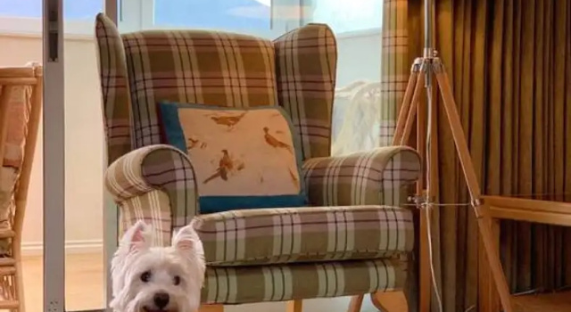 Коттедж Eagle Lodge Loch Rannoch Highland Club