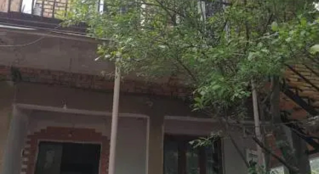 Guest House Shvelidze