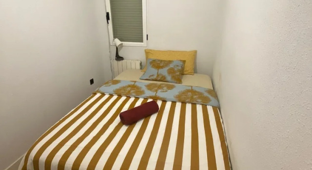 Одноместный номер Economy Room Grass