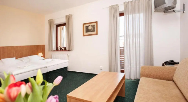 Двухместный номер Standard с балконом и с красивым видом из окна Hotel Panska Licha