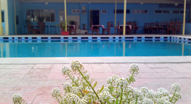 The New Swaraj Resort, Varaa Lomakeskus Hotellit Rajasthan uima-altaalla, Uima-allas