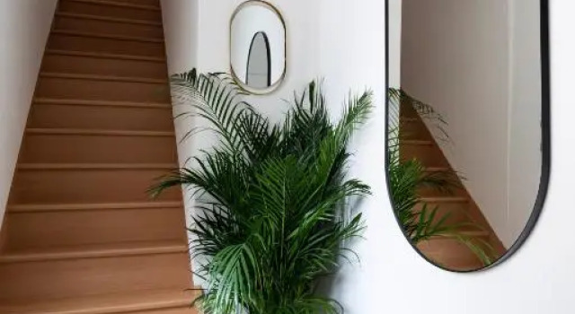 La véranda, Book Apartment Strasbourg 