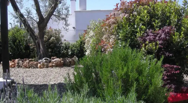 Trullo Mimosa, Rezervați Apartament Hoteluri în Valle d'Itria cu piscină, Piscină