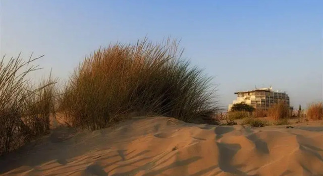 Hôtel And Spa Les Bains De Camargue By Thalazur, Book Resort Resort Hotels in Camargue, Resort