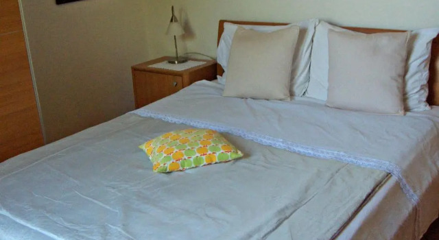 Номер Standard Guest House Roza