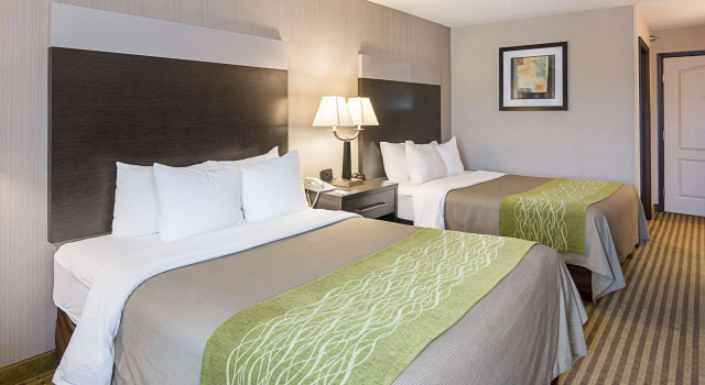 Четырёхместный номер Standard Comfort Inn Camden