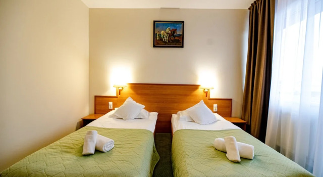 Одноместный номер Standard с балконом Hotel Rivulus