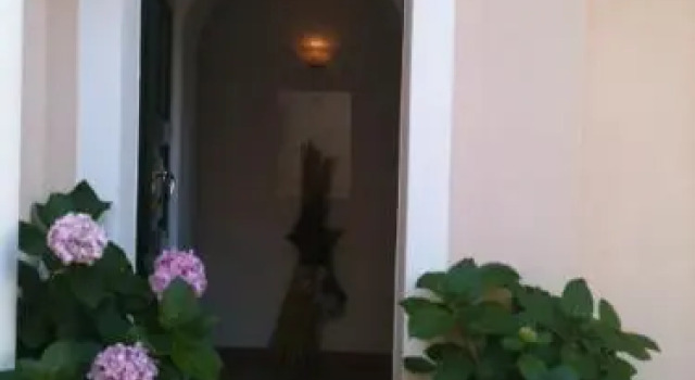 Villa Liberty