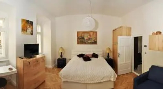 Luxury Apartment Novobranska