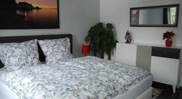 Am Berggarten, Rezervați Apartament Heidelberg Heidelberg