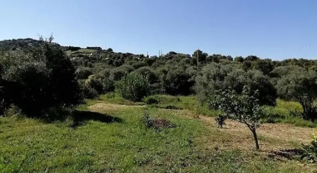 Шале Superior Casa La Liccia