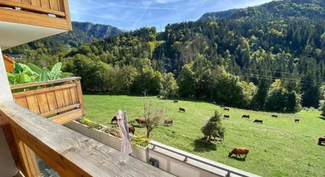 Appartement Saint-Jean-de-Sixt, 3 pièces, 5 personnes - FR-1-459-151
