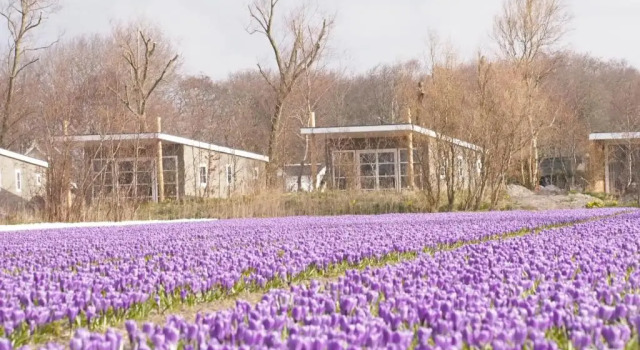 Бунгало Deluxe Strand49 Glamping Sint Maartenszee