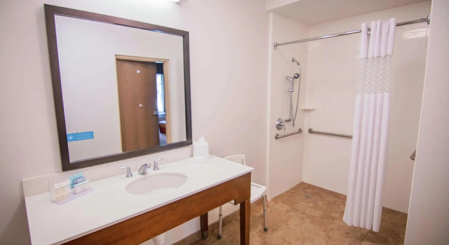 Четырёхместный номер Standard Hampton Inn & Suites Dallas/Frisco North-Fieldhouse USA