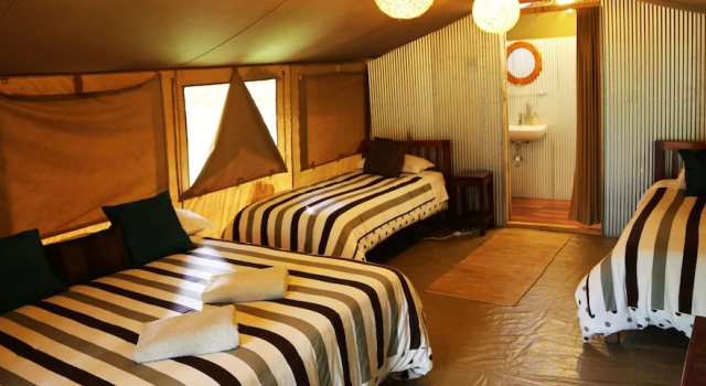 Семейный тент с видом на сад Wildebeest Eco Camp
