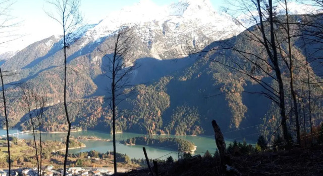 Апартаменты Appartamento Giada Pozzale di Pieve di Cadore(BL)