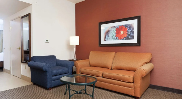 Люкс c 1 комнатой с красивым видом из окна Hilton Garden Inn Palm Springs/Rancho Mirage