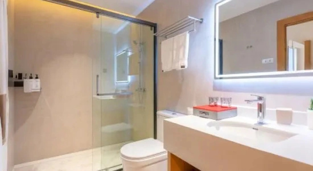 Люкс Korla Crystal Zhenpin Hotel