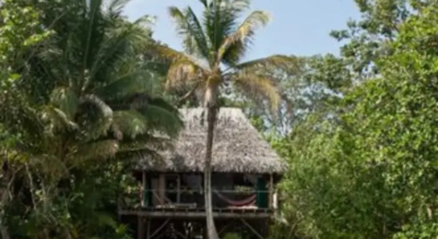 Бунгало Superior с балконом Al Natural Resort