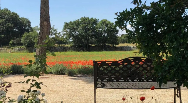 Люкс Deluxe Masseria Battaglini