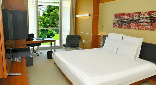 Люкс Executive Swissotel Buyuk Efes Izmir