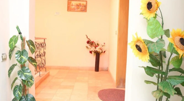 Apex Inn Guest House