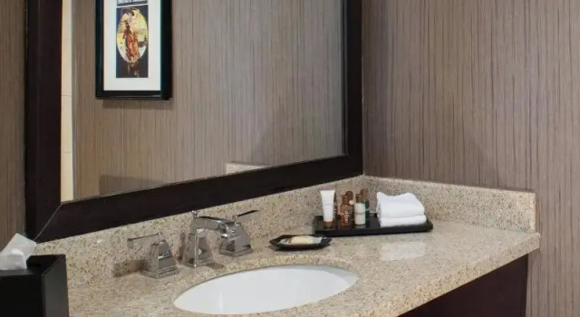 Двухместный номер Classic Sheraton North Houston at George Bush Intercontinental