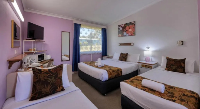 Трёхместный номер Standard Bushmans Motor Inn