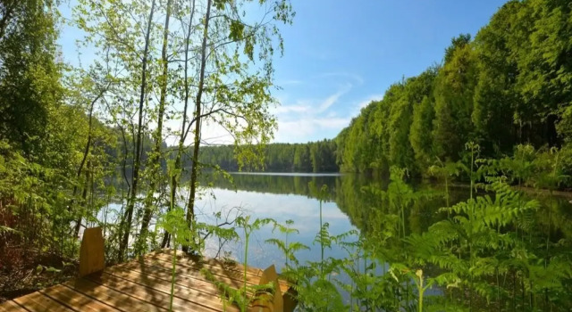 Коттедж Waterside Elegance Retreat