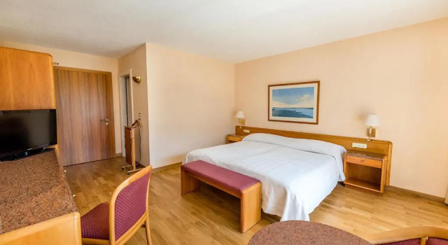 Номер Standard Hôtel des Bains de Saillon