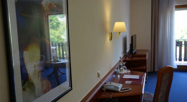 Одноместный люкс Hotel Lorösch